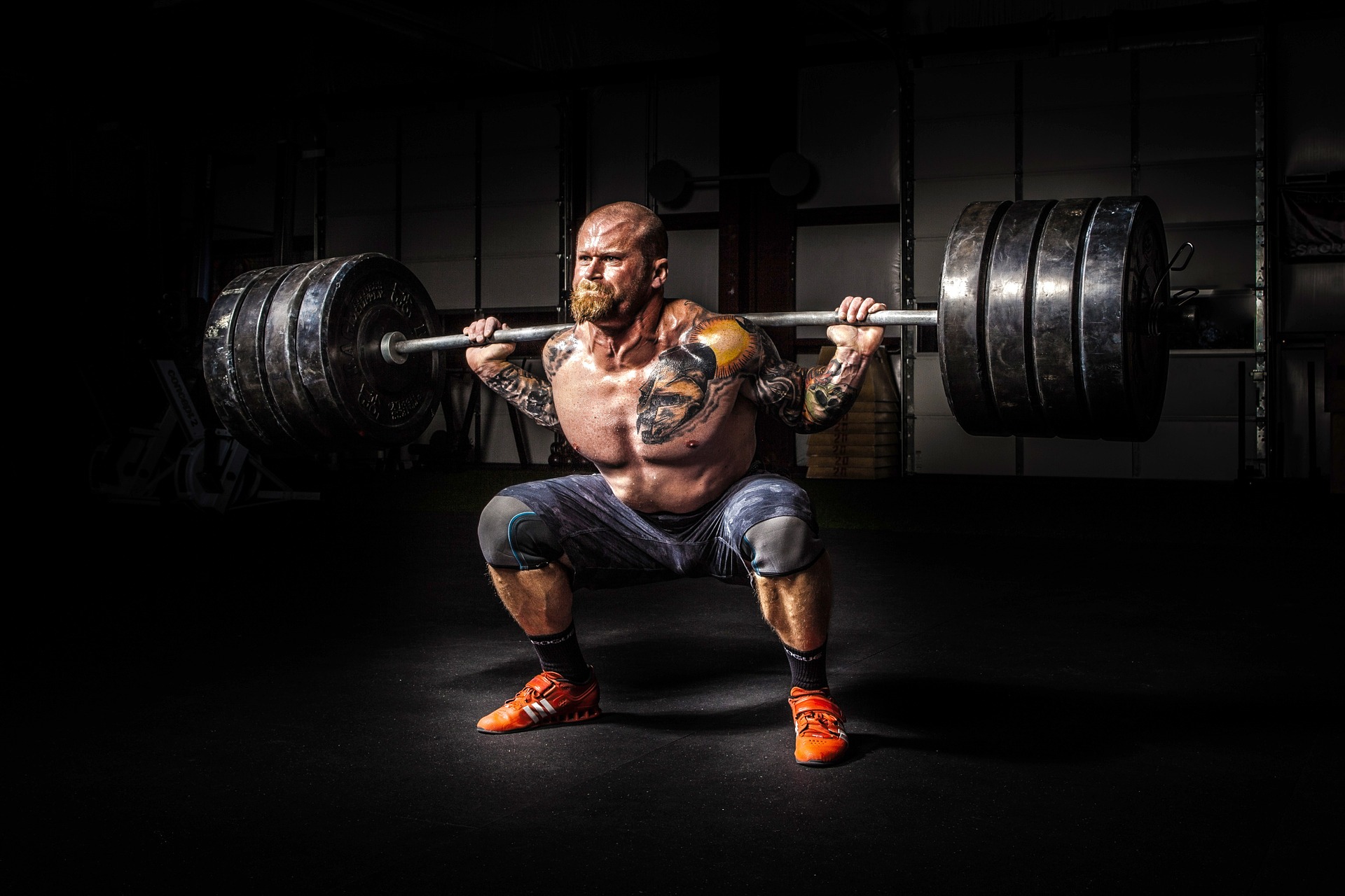 Essential Diet Tips for Bodybuilders