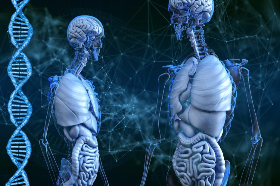 The Top Common Robotic Surgery Procedures